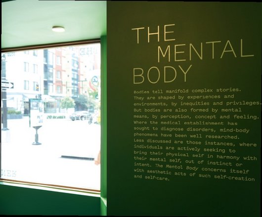 Picture of: The Mental Body, Installation view of the exhibition at The Corner at Whitman Walker, July 23–October 31, 2021, © The Corner at Whitman Walker.