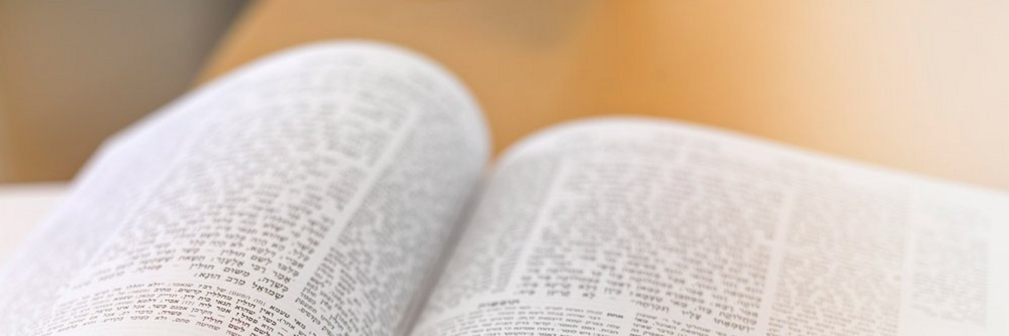 Header - Buch
