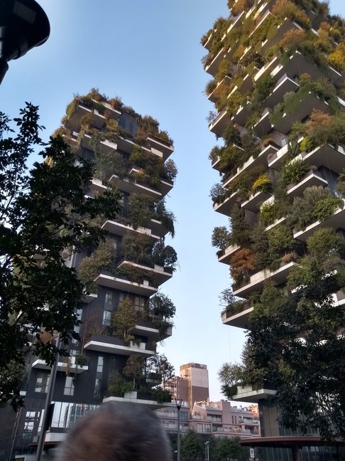 Picture of Bosco Verticale in Milan