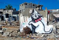 Anhand von Katzenbildern beschreibt Ilaria Hoppe Moden in digitalen Medien.