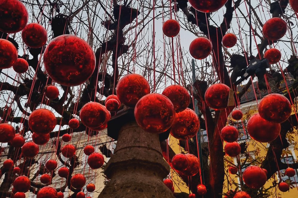 Red Christmas decorations hanging from the trees