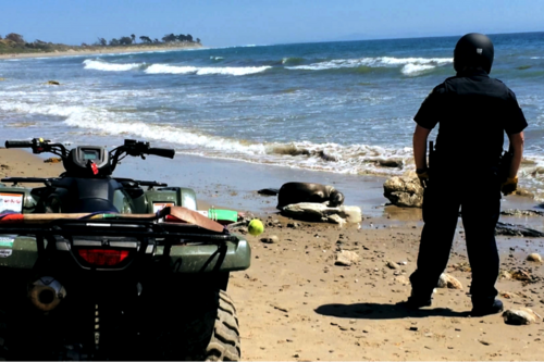 Still image, Stand in the Stream by Stanya Kahn © 2011-2017, courtesy of the artist and Vielmetter Los Angeles.