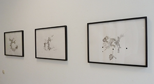 Foto der Serie "Atlas Program" (2013) von Shahram Entekhabi, ausgestellt an der KU Linz. 